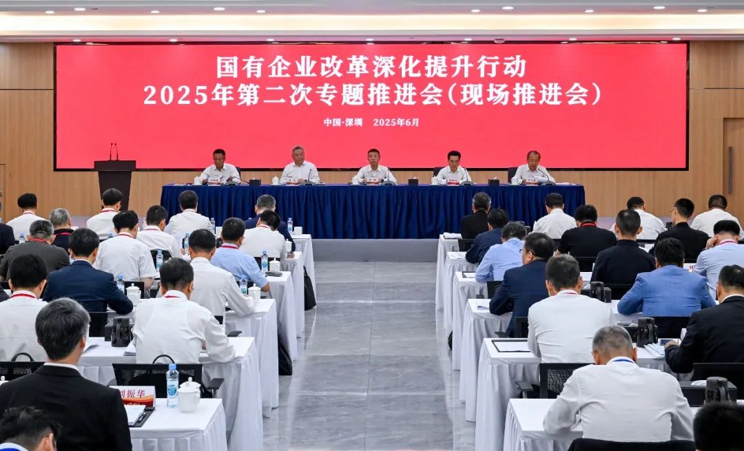 1750930449811680.jpg 0101.jpg